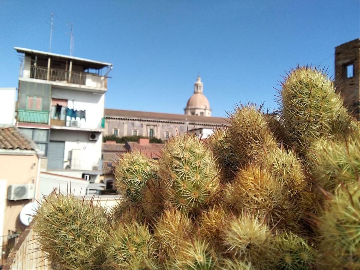 Casa Romans, Via Della Palma, 63 * Catania